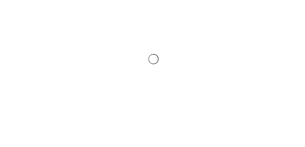 Pico Union Project